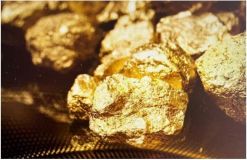 Gold mine for sale in Brazil -1114449
